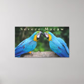 Wildlife Ernstige Macaw Zittend op een Tak Canvas Afdruk (Voorkant)