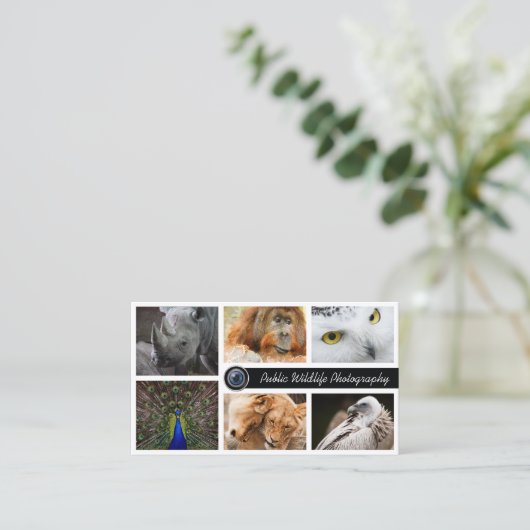 wildlife fotograaf visitekaartje (Staand voorkant)