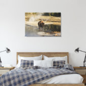 Wildlife Fotografie American Bison Yellowstone Canvas Afdruk (Insitu (Slaapkamer))