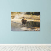 Wildlife Fotografie American Bison Yellowstone Canvas Afdruk (Insitu (Houten vloer))
