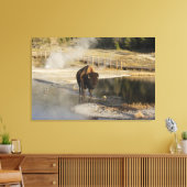 Wildlife Fotografie American Bison Yellowstone Canvas Afdruk (Insitu (Woonkamer))