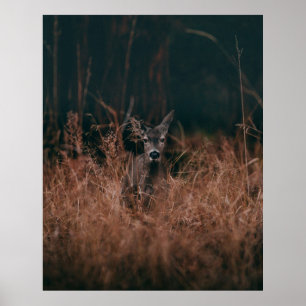 WILDLIFE-FOTOGRAFIE VAN GRAY-DEER, OVERGELEGD DOOR POSTER