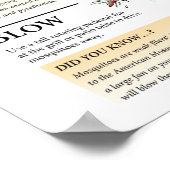 Wildlife Friendly Mosquito Solutions Poster (Hoek)