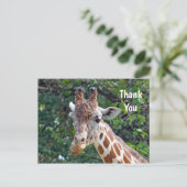 Wildlife Giraffe Foto Bedankt Briefkaart (Staand voorkant)