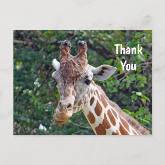 Wildlife Giraffe Foto Bedankt Briefkaart (Voorkant)