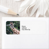 Wildlife Giraffe Foto Etiket (Insitu)