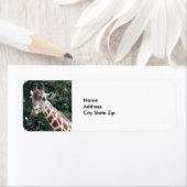 Wildlife Giraffe Foto Etiket (Insitu)