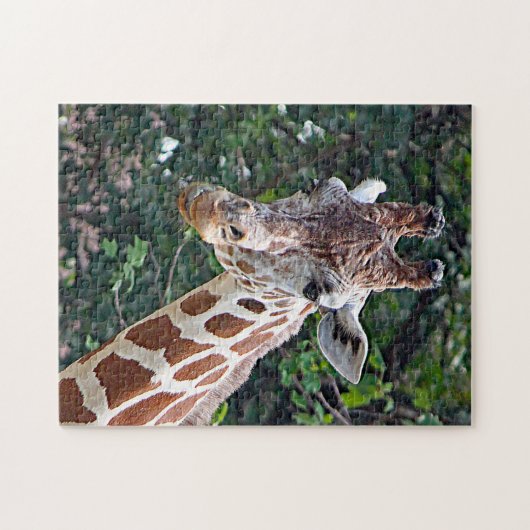 Wildlife Giraffe Foto Legpuzzel (Horizontaal)