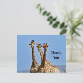 Wildlife Giraffe Herd Foto Dank u Briefkaart (Staand voorkant)