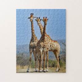 Wildlife Giraffe Herd Foto Legpuzzel