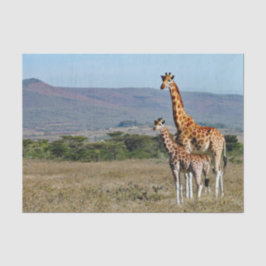 Wildlife Giraffe Moeder en Baby Foto Tissuepapier