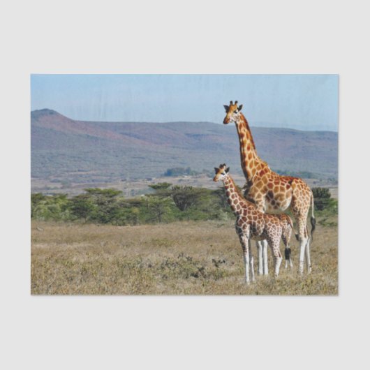 Wildlife Giraffe Moeder en Baby Foto Tissuepapier (Voorkant)