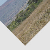 Wildlife Giraffe Moeder en Baby Foto Tissuepapier (Detail)