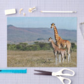 Wildlife Giraffe Moeder en Baby Foto Tissuepapier (Craft)