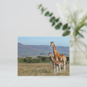 Wildlife Giraffe Mother and Baby Photo Briefkaart (Staand voorkant)