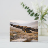 Wildlife Golden Eagle Scottish Highlands  Briefkaart (Staand voorkant)