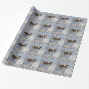 Wildlife Goose zwemt in Lake, Natuur, Bird Cadeaupapier