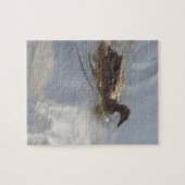 Wildlife Goose zwemt in Lake, Natuur, Bird Legpuzzel (Horizontaal)