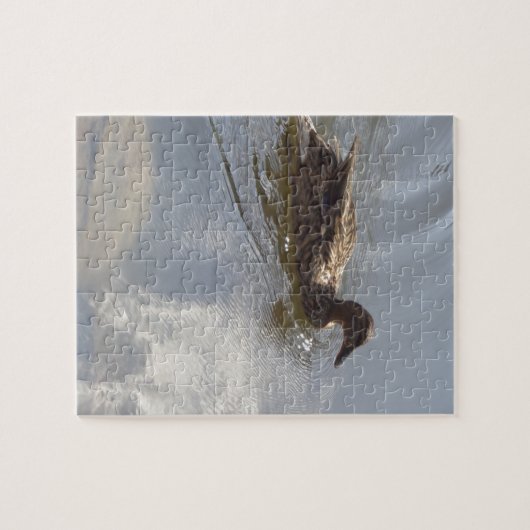 Wildlife Goose zwemt in Lake, Natuur, Bird Legpuzzel (Horizontaal)