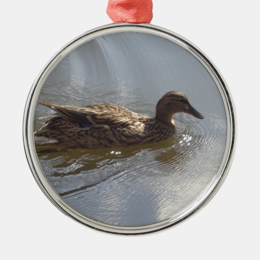 Wildlife Goose zwemt in Lake, Natuur, Bird Metalen Ornament (Voorkant)