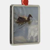 Wildlife Goose zwemt in Lake, Natuur, Bird Metalen Ornament (Rechts)