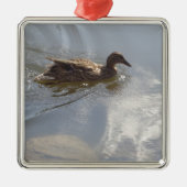 Wildlife Goose zwemt in Lake, Natuur, Bird Metalen Ornament (Voorkant)