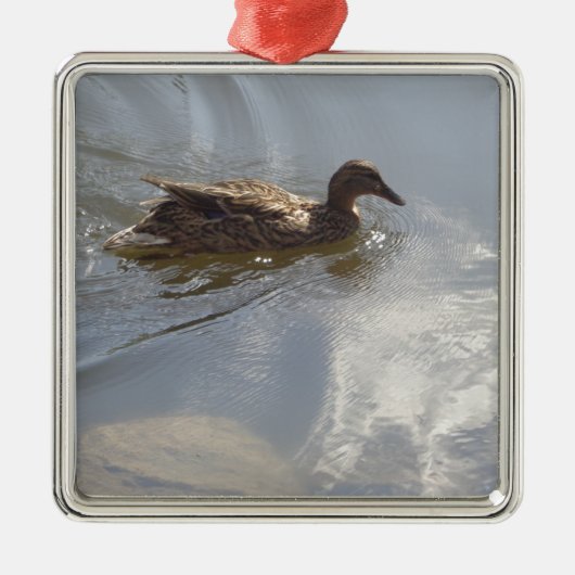 Wildlife Goose zwemt in Lake, Natuur, Bird Metalen Ornament (Voorkant)