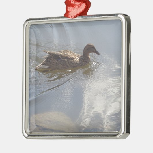 Wildlife Goose zwemt in Lake, Natuur, Bird Metalen Ornament (Links)