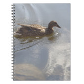 Wildlife Goose zwemt in Lake, Natuur, Bird Notitieboek (Voorkant)