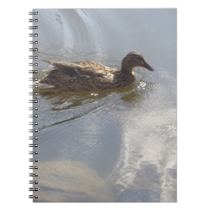 Wildlife Goose zwemt in Lake, Natuur, Bird Notitieboek
