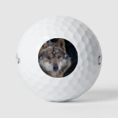 Wildlife Gray Wolf Wilderness Wolf Golfballen (Voorkant)