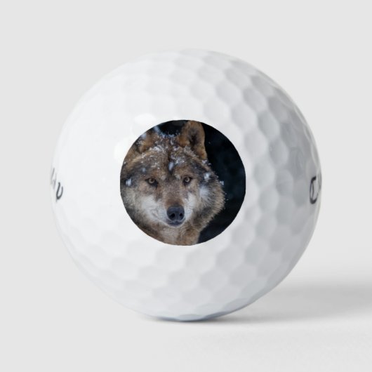 Wildlife Gray Wolf Wilderness Wolf Golfballen (Voorkant)