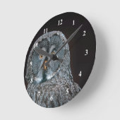 Wildlife Great Gray Owl Foto Ronde Klok (Hoek)