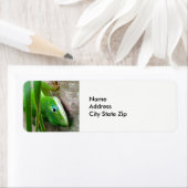 Wildlife Green Carolina Anole Lizard Foto Etiket (Insitu)