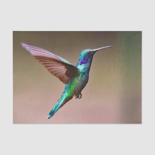 Wildlife Green Hummingbird Foto Tissuepapier (Voorkant)