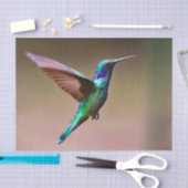 Wildlife Green Hummingbird Foto Tissuepapier (Craft)
