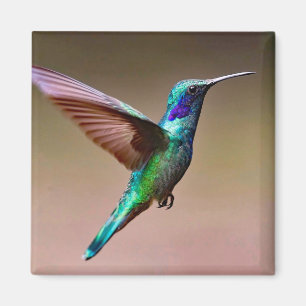 Wildlife Green Hummingbird Photo Magneet