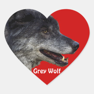 Wildlife Grey Wolf Animal-lover-ontwerp Hart Sticker