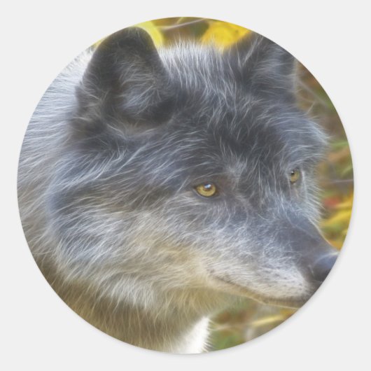 Wildlife Grey Wolf Animal-lover-ontwerp Ronde Sticker (Voorkant)