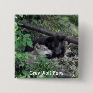 Wildlife Grey Wolf Animal-lover-ontwerp Vierkante Button 5,1 Cm