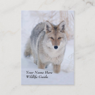 Wildlife Guide Coyote Visitekaartje
