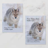 Wildlife Guide Coyote Visitekaartje (Voorkant / Achterkant)
