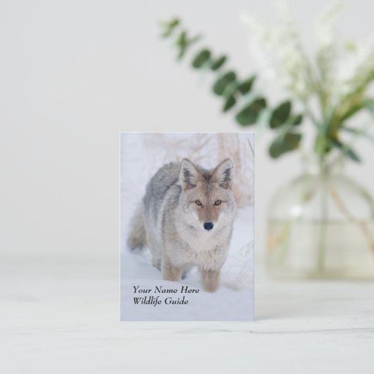 Wildlife Guide Coyote Visitekaartje (Staand voorkant)