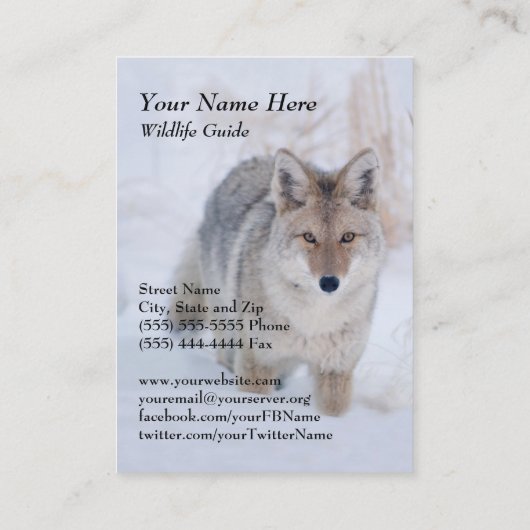 Wildlife Guide Coyote Visitekaartje (Achterkant)