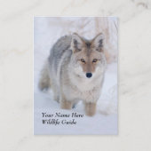 Wildlife Guide Coyote Visitekaartje (Voorkant)
