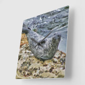 Wildlife Harbour Seal Tail Talking Sun Bather Vierkante Klok (Hoek)