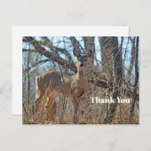 Wildlife Herten Bos Foto Dank U Briefkaart (Voorkant / Achterkant)