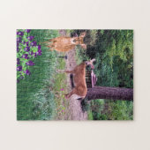 Wildlife Hinde Herten Foto Collage Legpuzzel (Horizontaal)