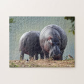 Wildlife Hippo Foto Legpuzzel (Horizontaal)