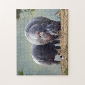 Wildlife Hippo Foto Legpuzzel (Verticaal)